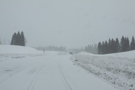 Heel veel sneeuw tussen New Mexico en Colorado op 3200 meter